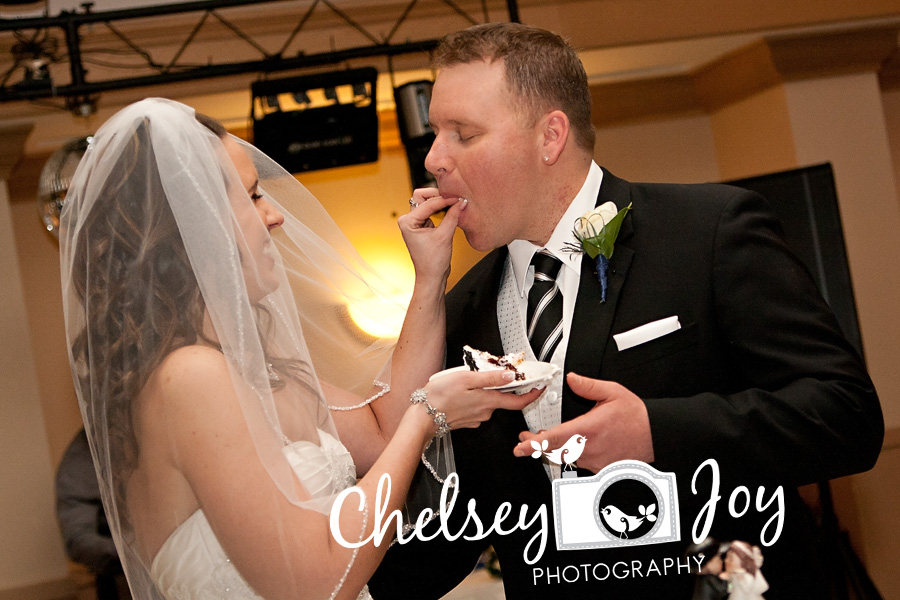 Bride and groom cut the cake at their wedding in West Chicago. 