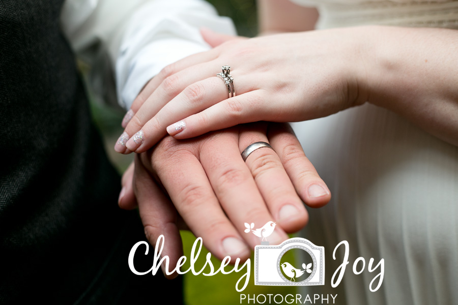 Cook County Courthouse wedding