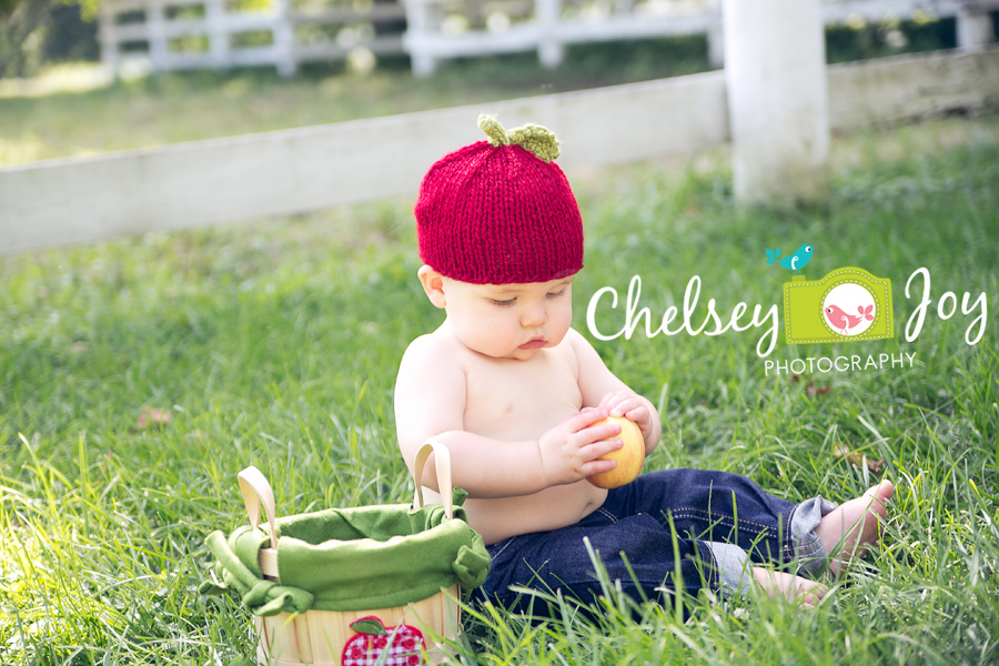 Jackson holds a apple during his 1 year photo session in Wheaton. 