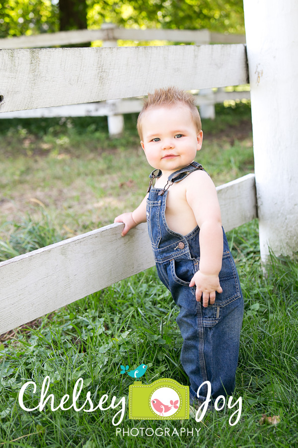 Jackson holds onto the fence at the Danada Equestrian Center. 