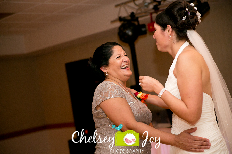 Wedding reception at Hopkins Park Terrace Room