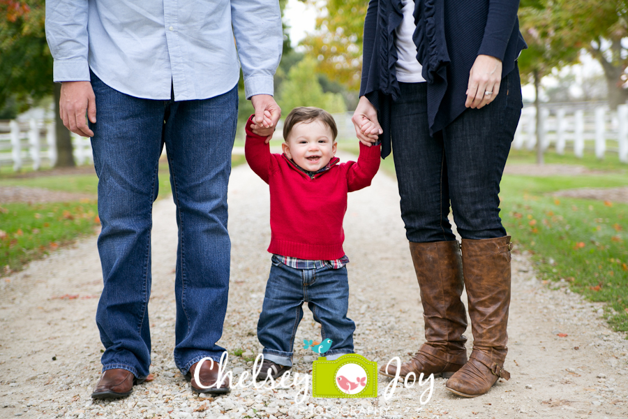 Naperville family holds hands during fall photo session.