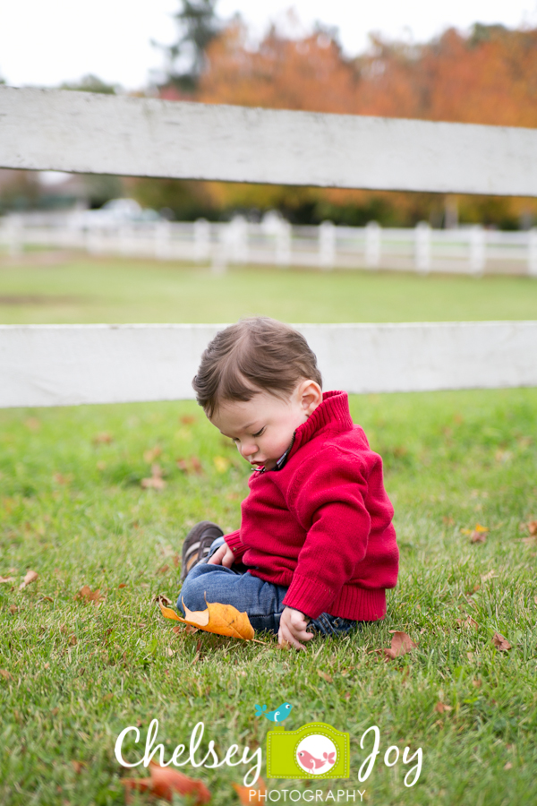 Baby B plays with a leaf during a milestone session.