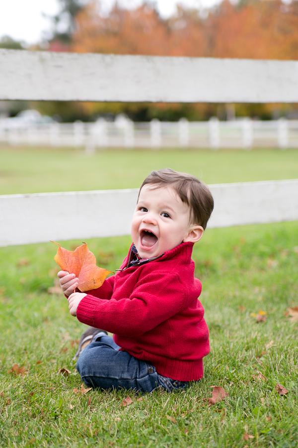 wheaton family photographer