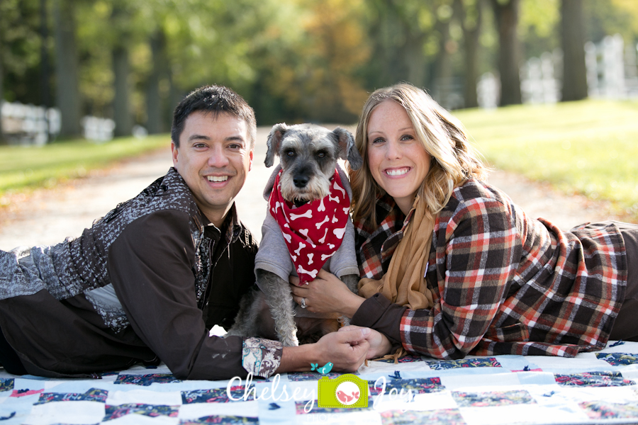 Carol Stream Pet Photographer