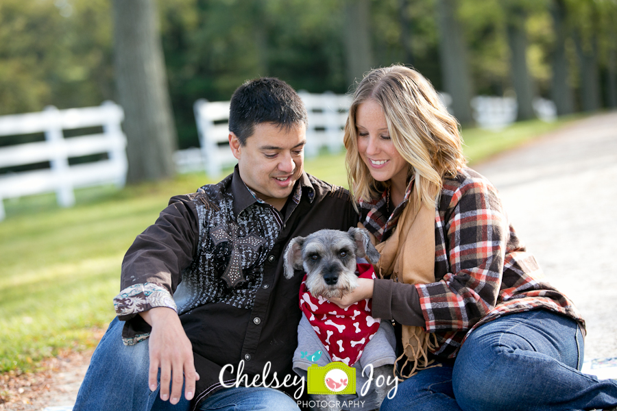 Carol Stream Pet Photographer