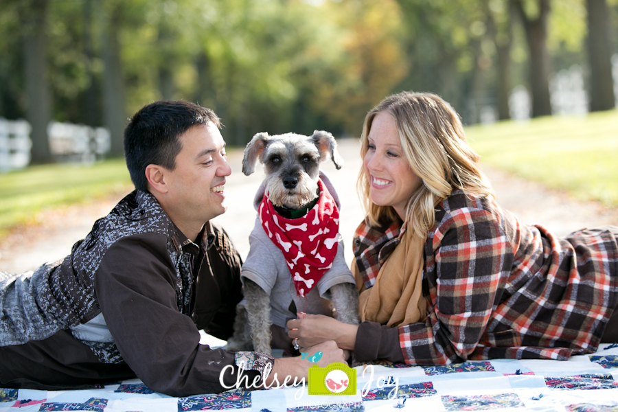 Carol Stream Pet Photographer