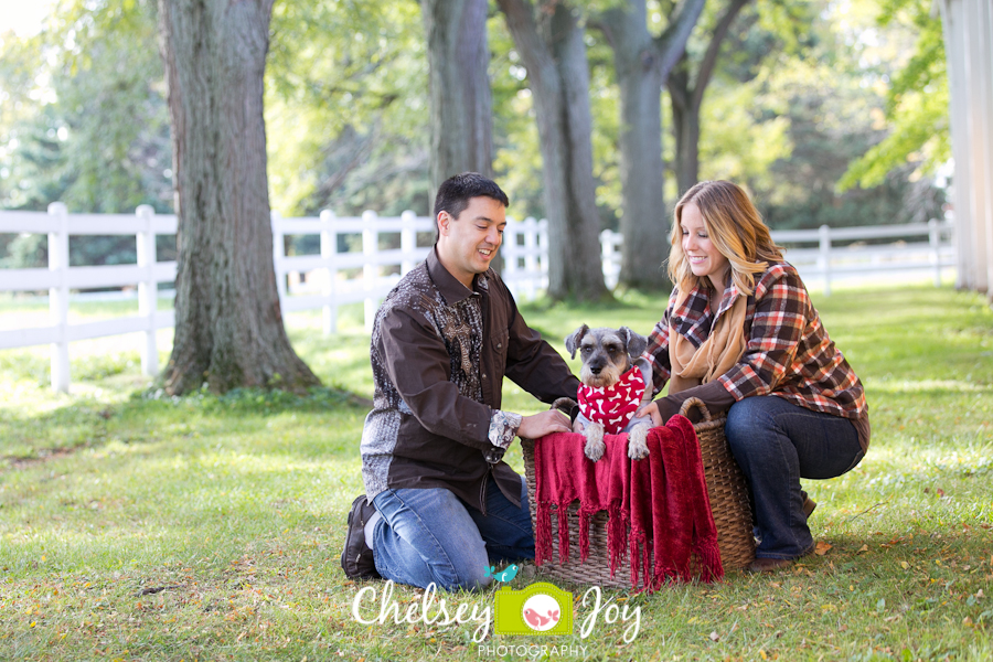 Carol Stream Pet Photographer