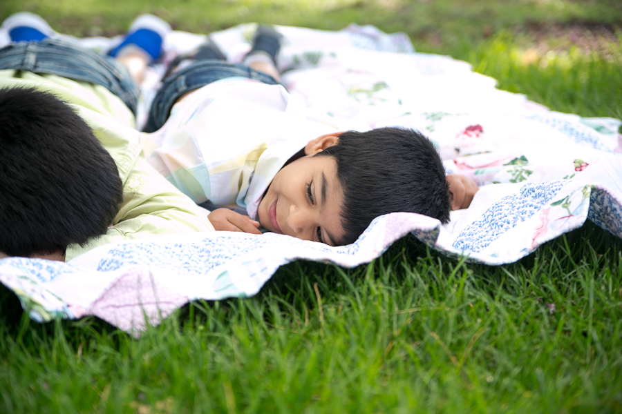 Hoffman Estates Family Photographer-12