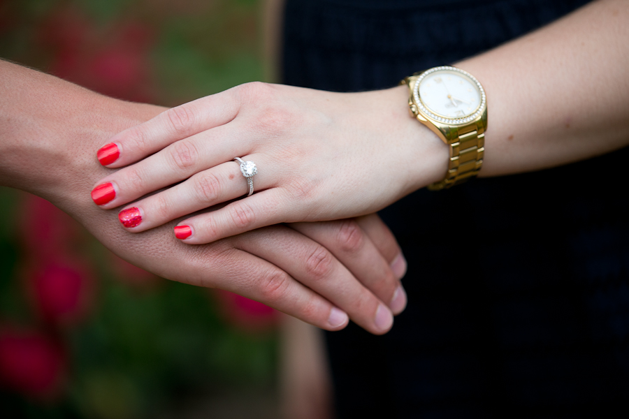 Naperville Proposal Photographer