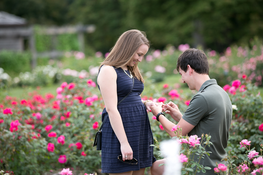 Naperville Proposal Photographer