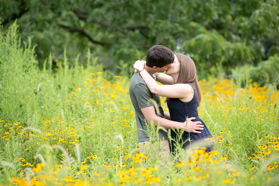 Schaumburg Proposal Photographer