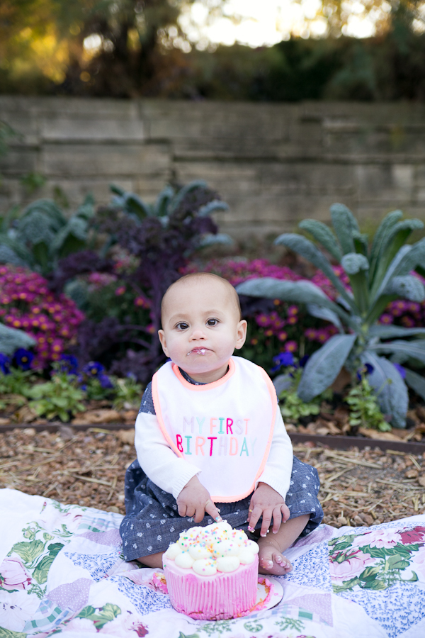 hoffman estates baby photographer