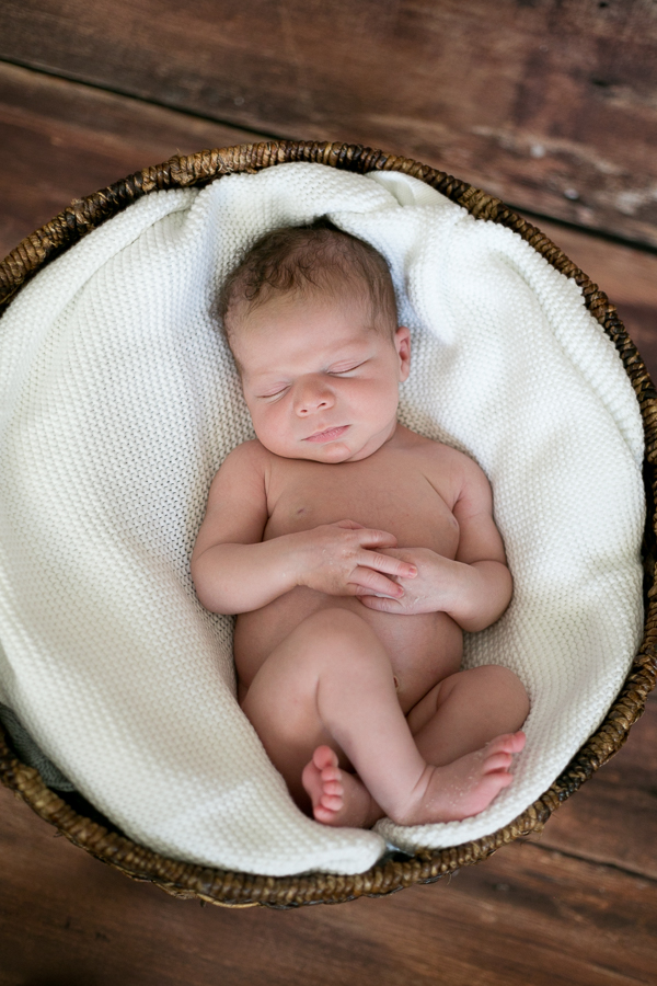 Hoffman Estates Newborn Photographer