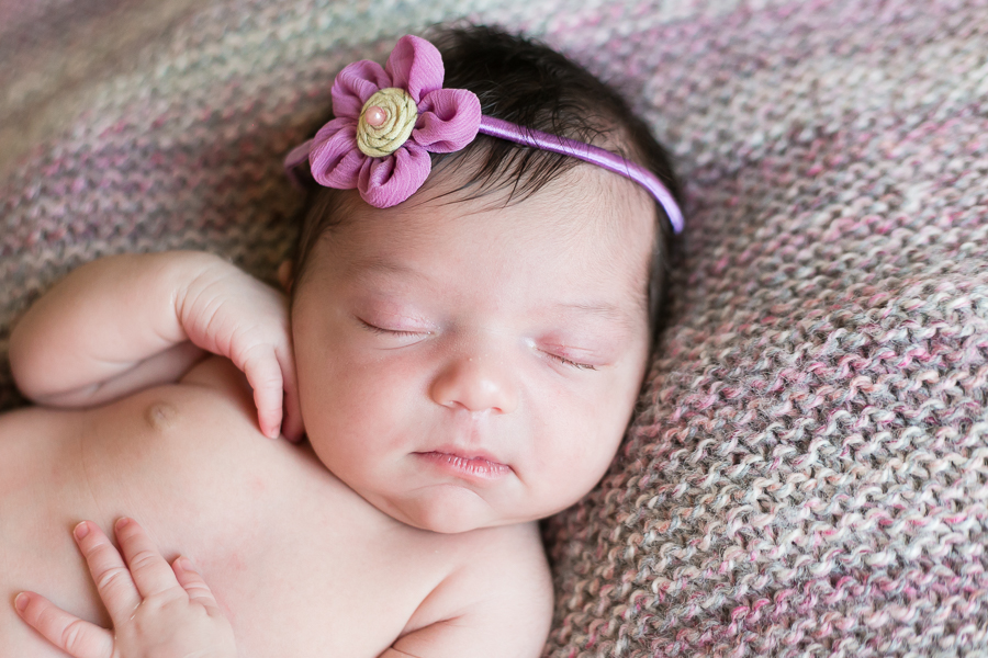 Naperville Newborn Photographer