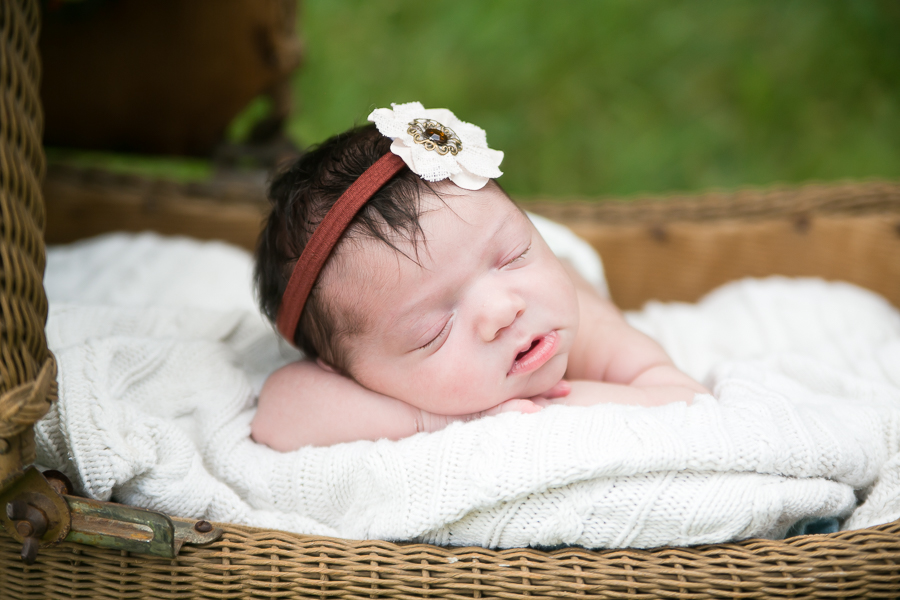 Wheaton Newborn Photographer