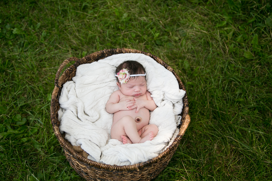 Wheaton Newborn Photographer