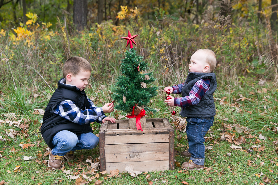 schaumburg family photographer