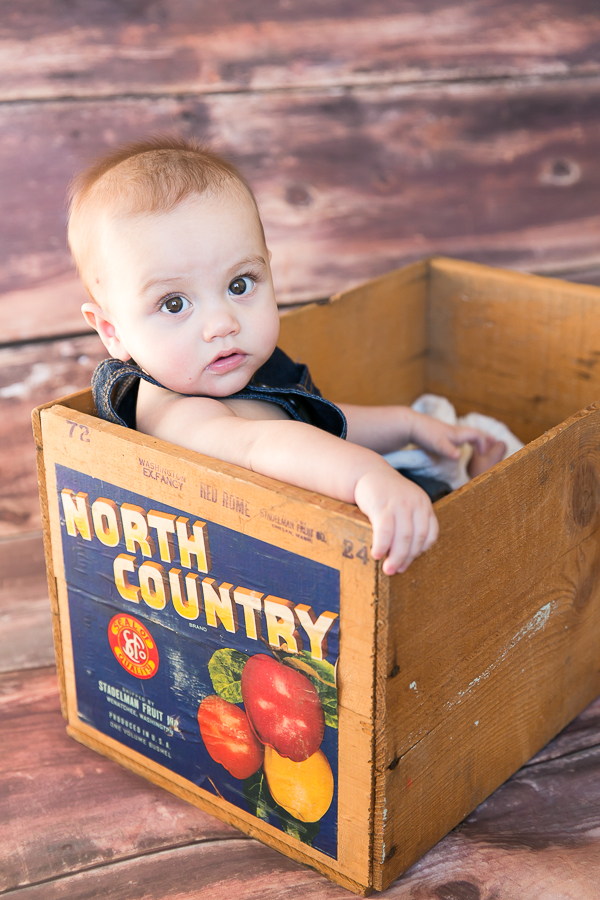 Wheaton Baby Photographer