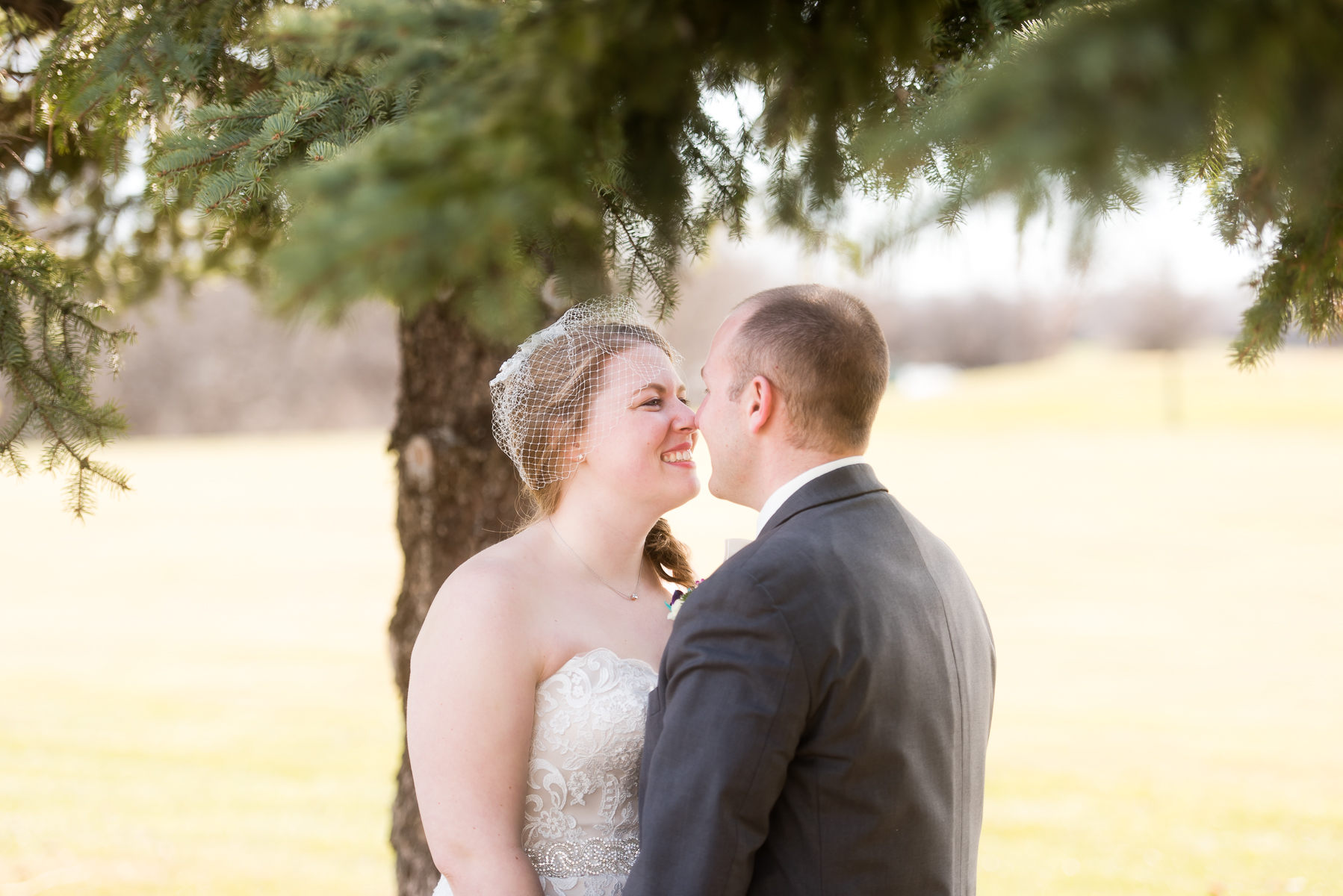 Glendale Heights Wedding Photographer