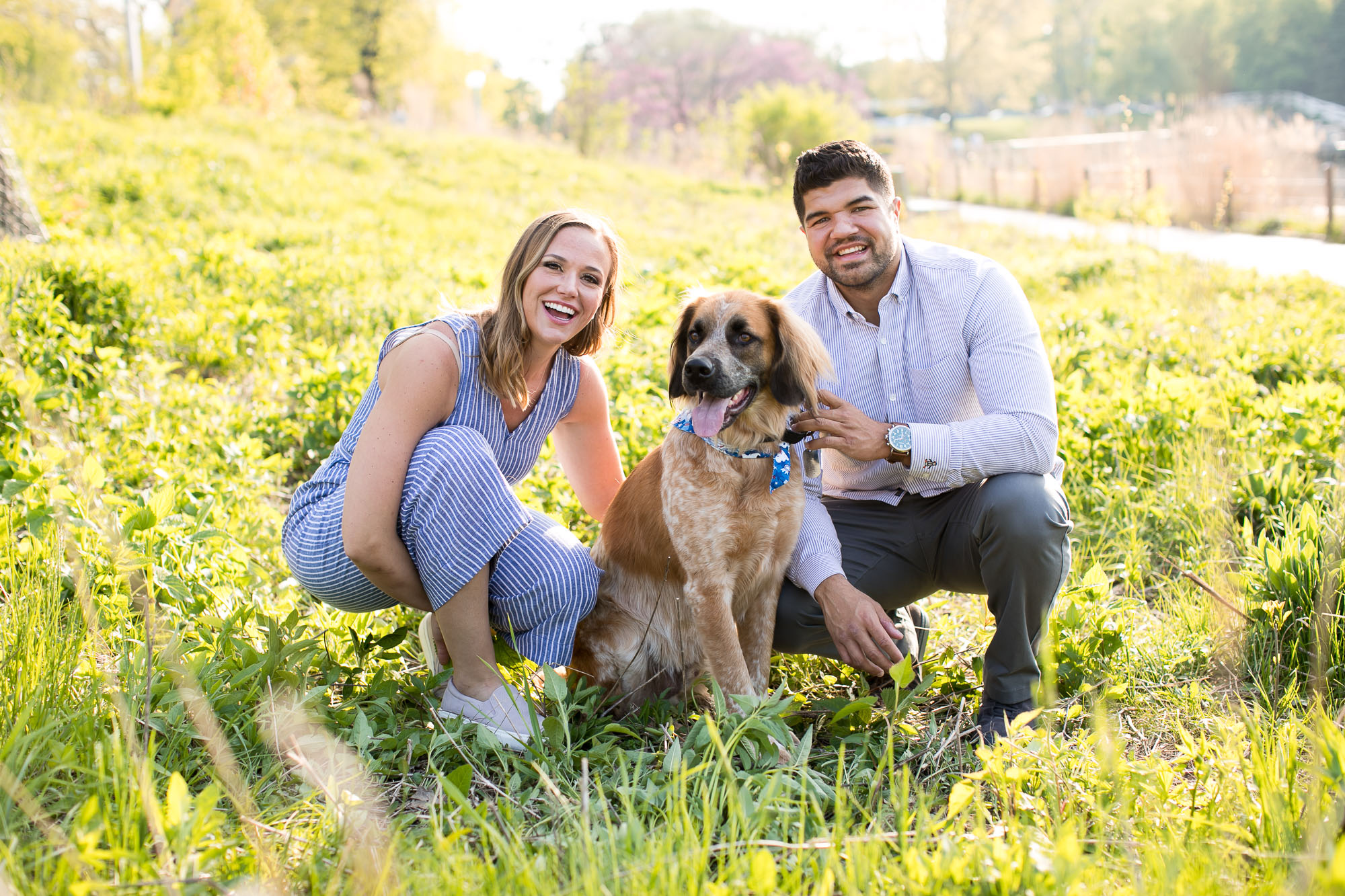 Chicagoland Wedding Photographer