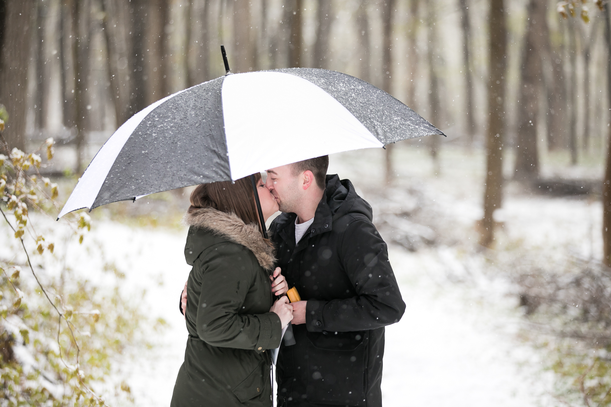 Morton Arboretum Proposal Photographer