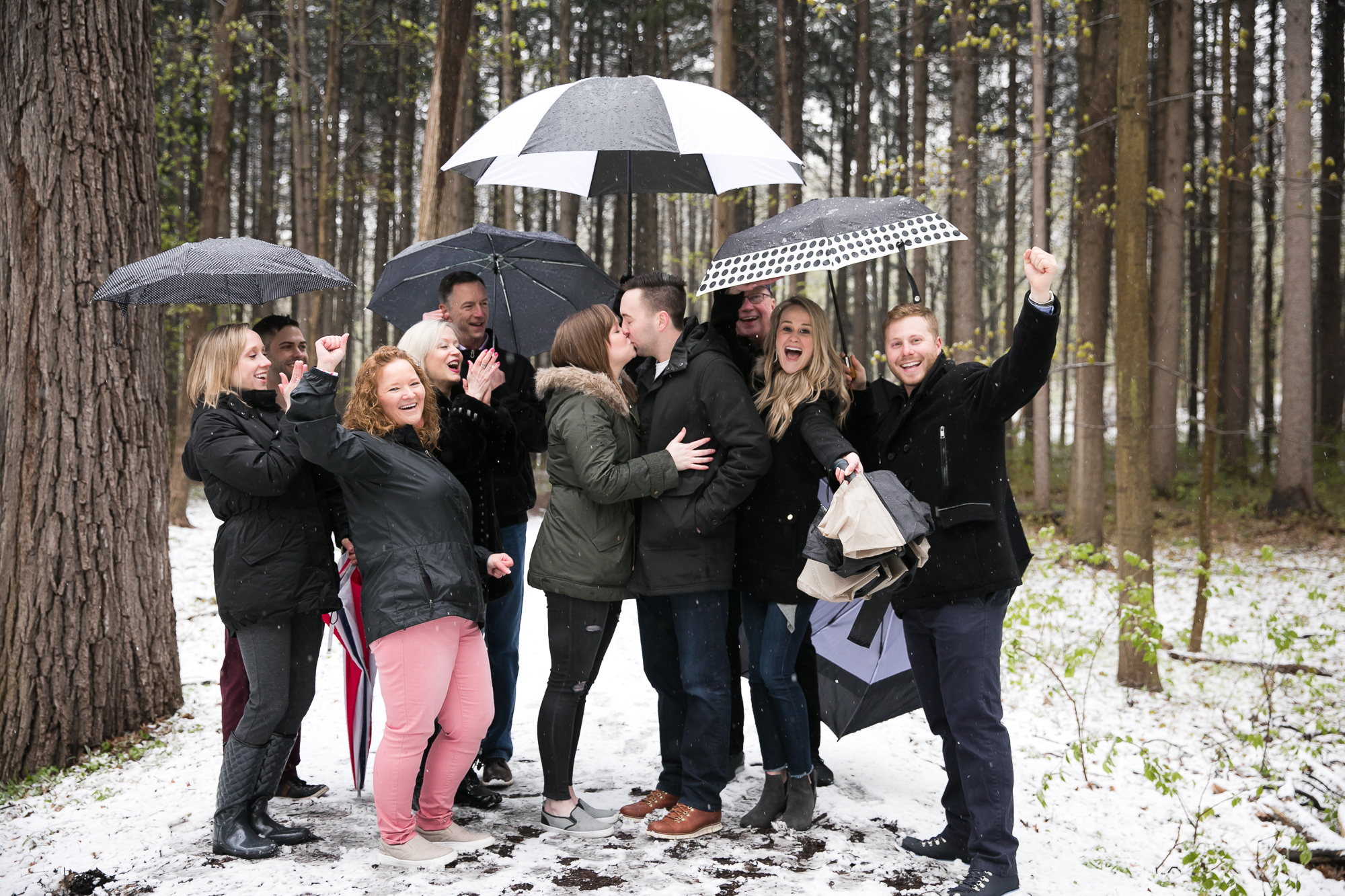 Morton Arboretum Proposal Photographer