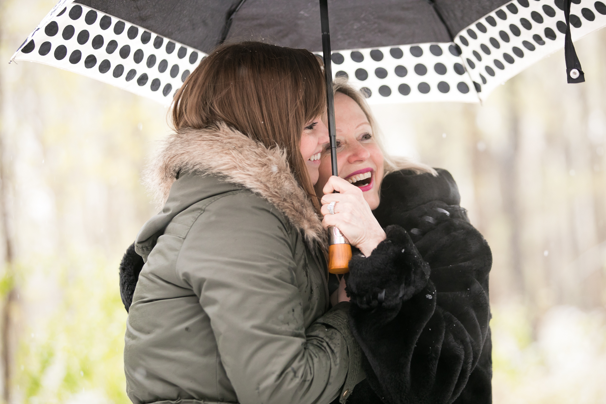 Morton Arboretum Proposal Photographer