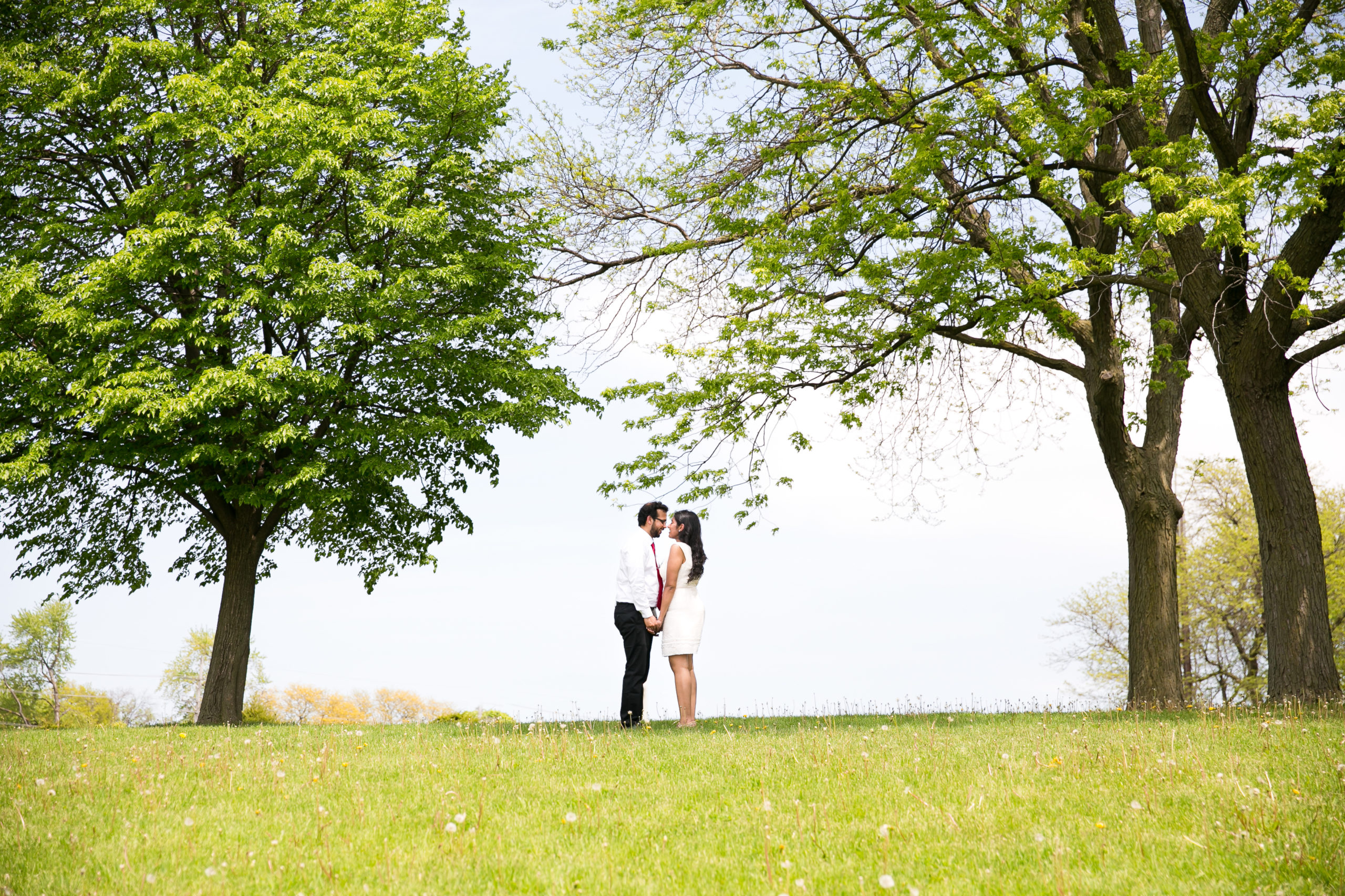 Chicago Elopement Photography