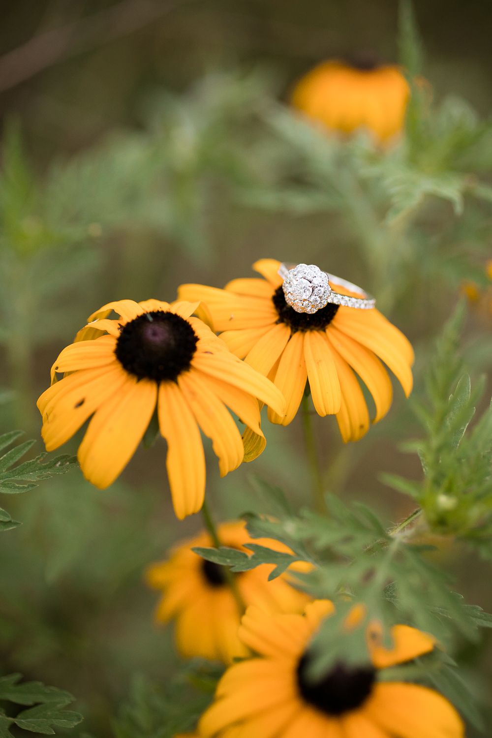 St. James Farm Wedding