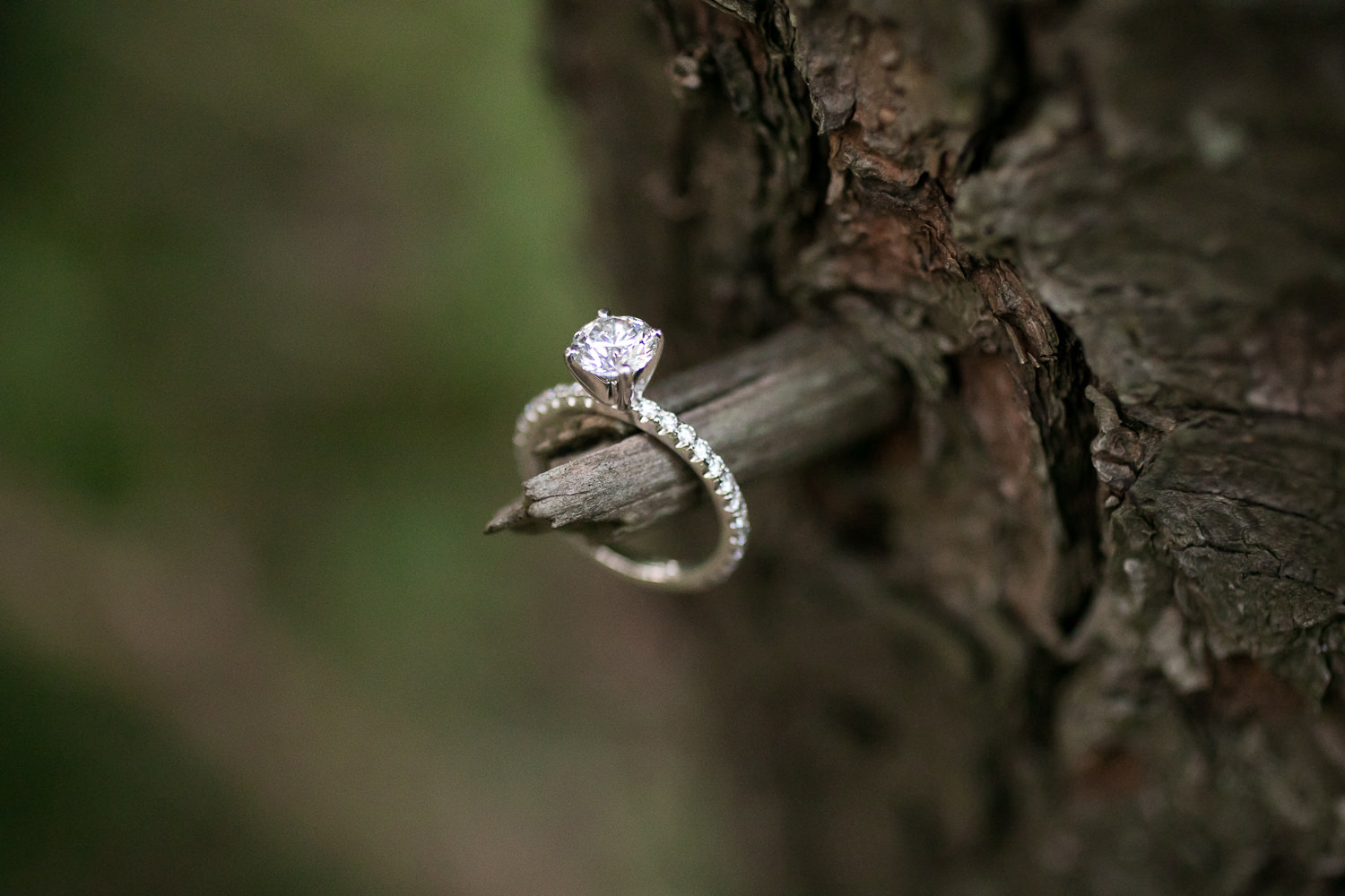 Chicago Wedding Photographer