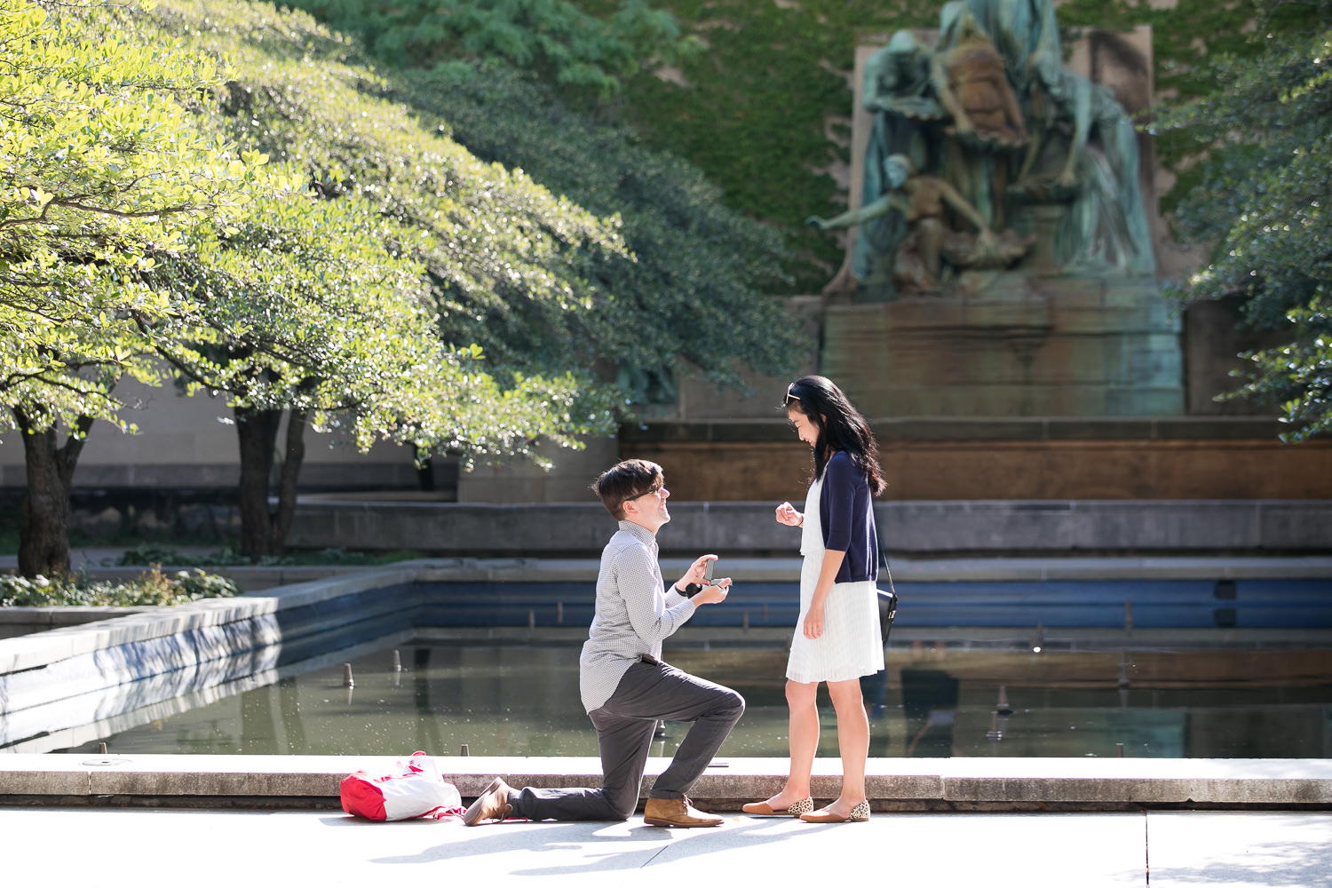 Proposal in Chicago
