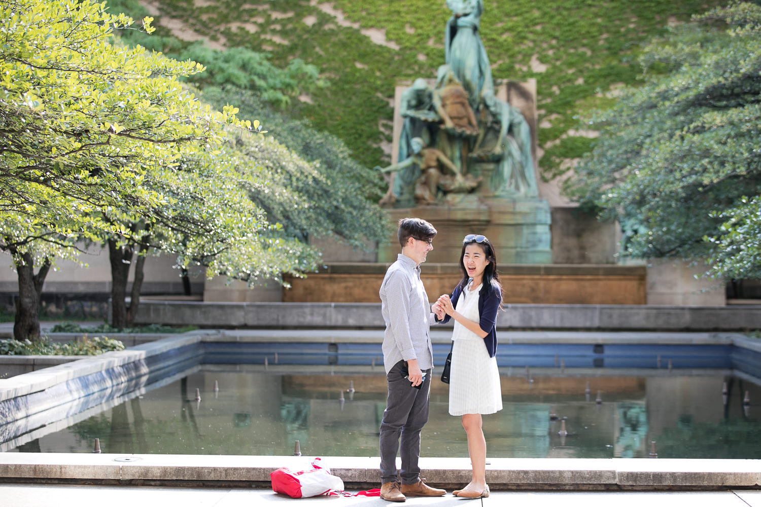 Proposal in Chicago