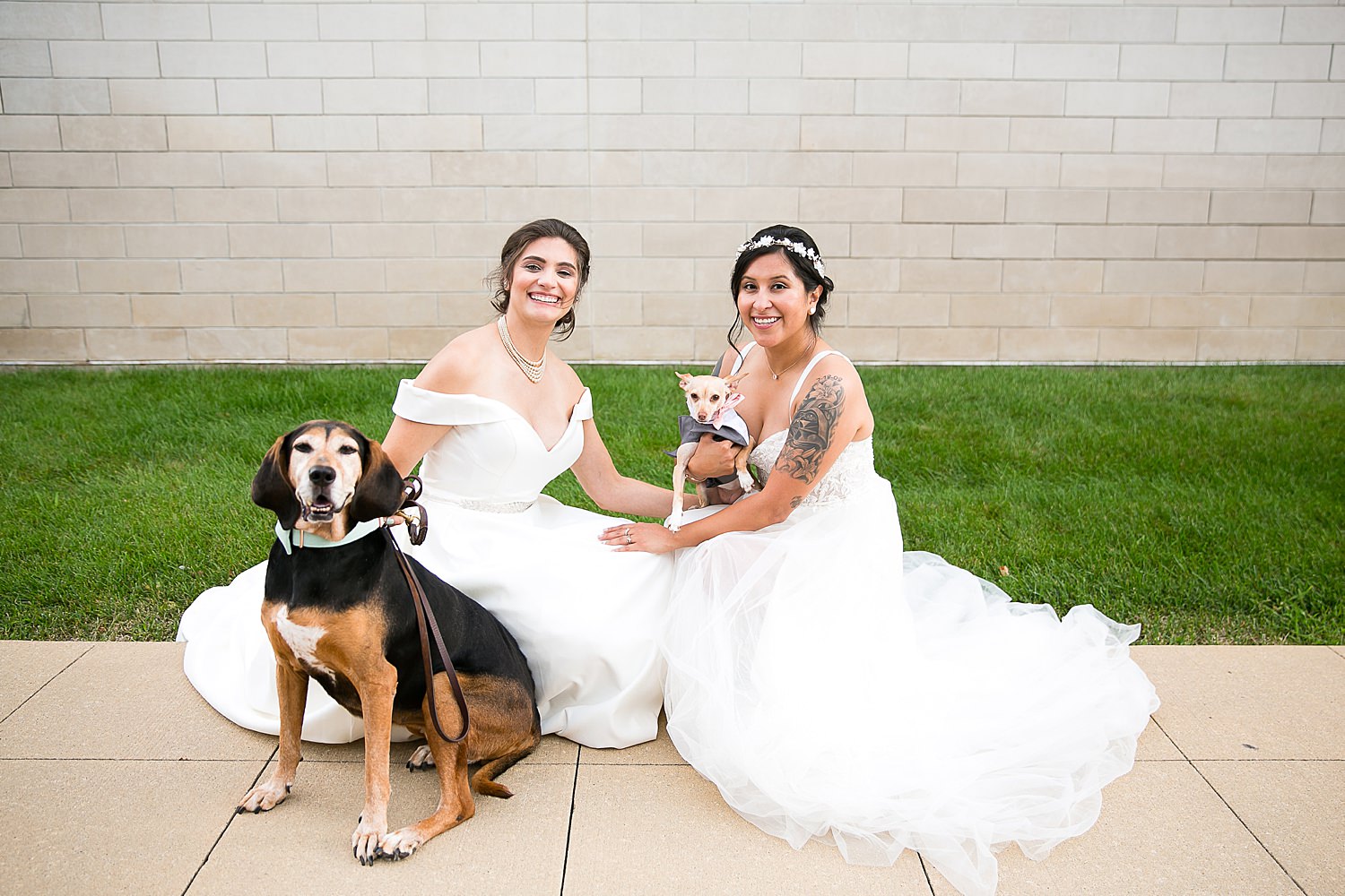 Brides sitting with dogs at their wedding venue The Haight.