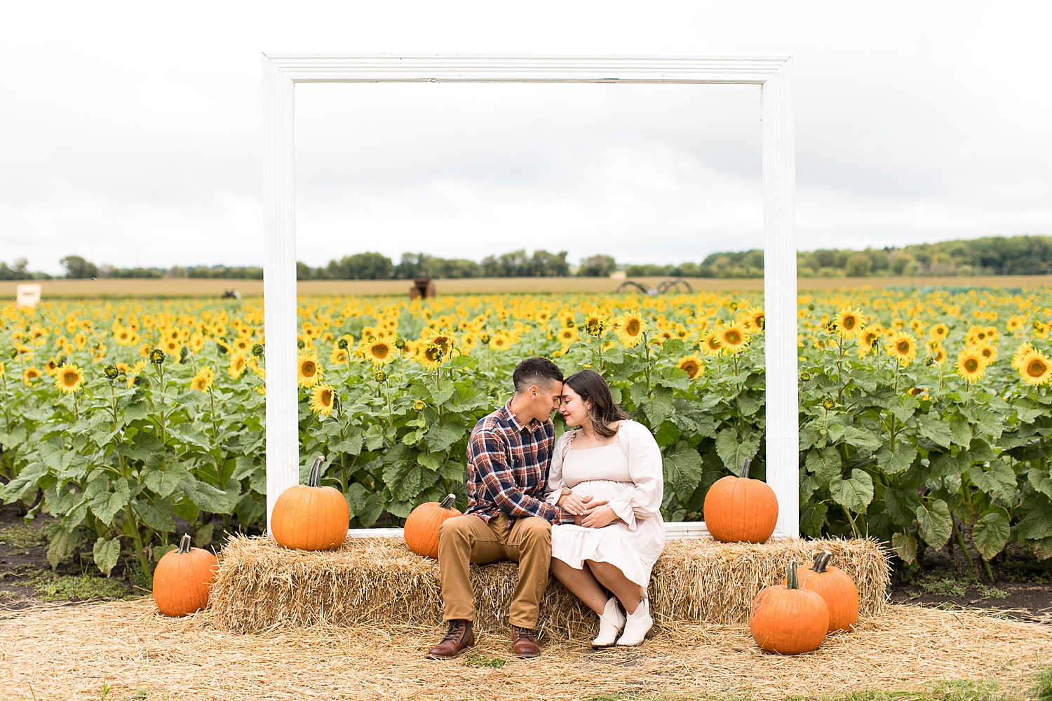 Couple sits in sunflower field for maternity session in Murfreesboro Tennessee