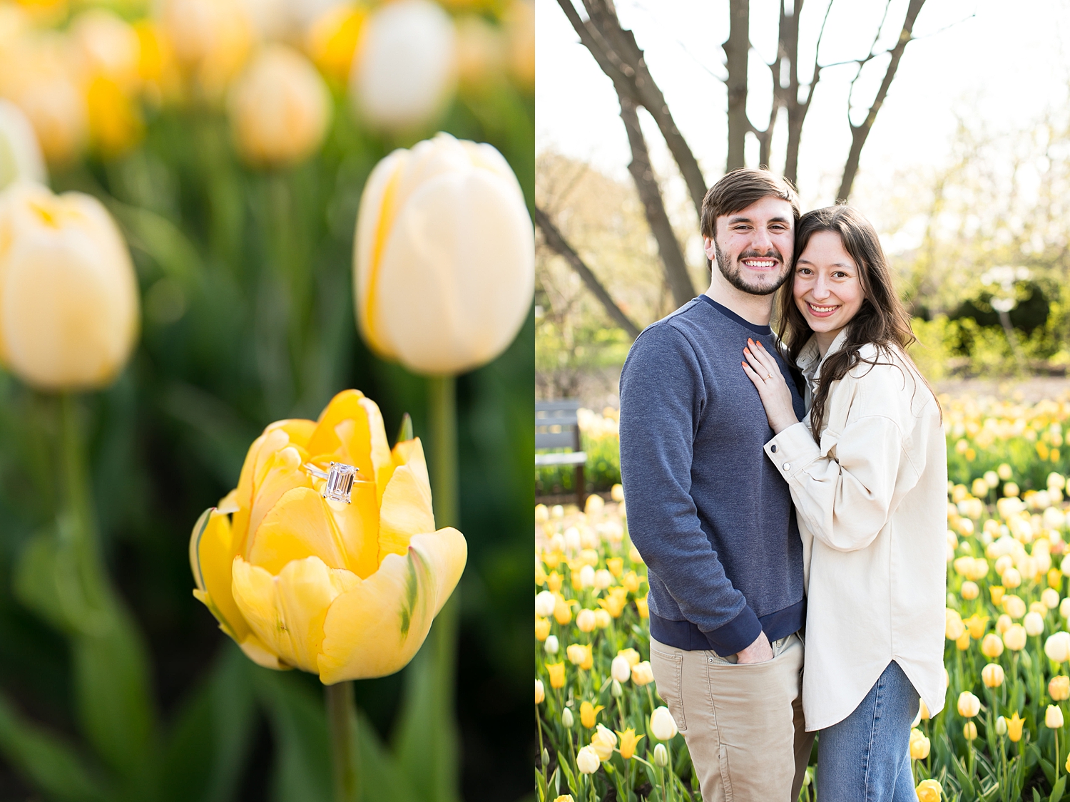 Couple poses for engagement photos in tulips