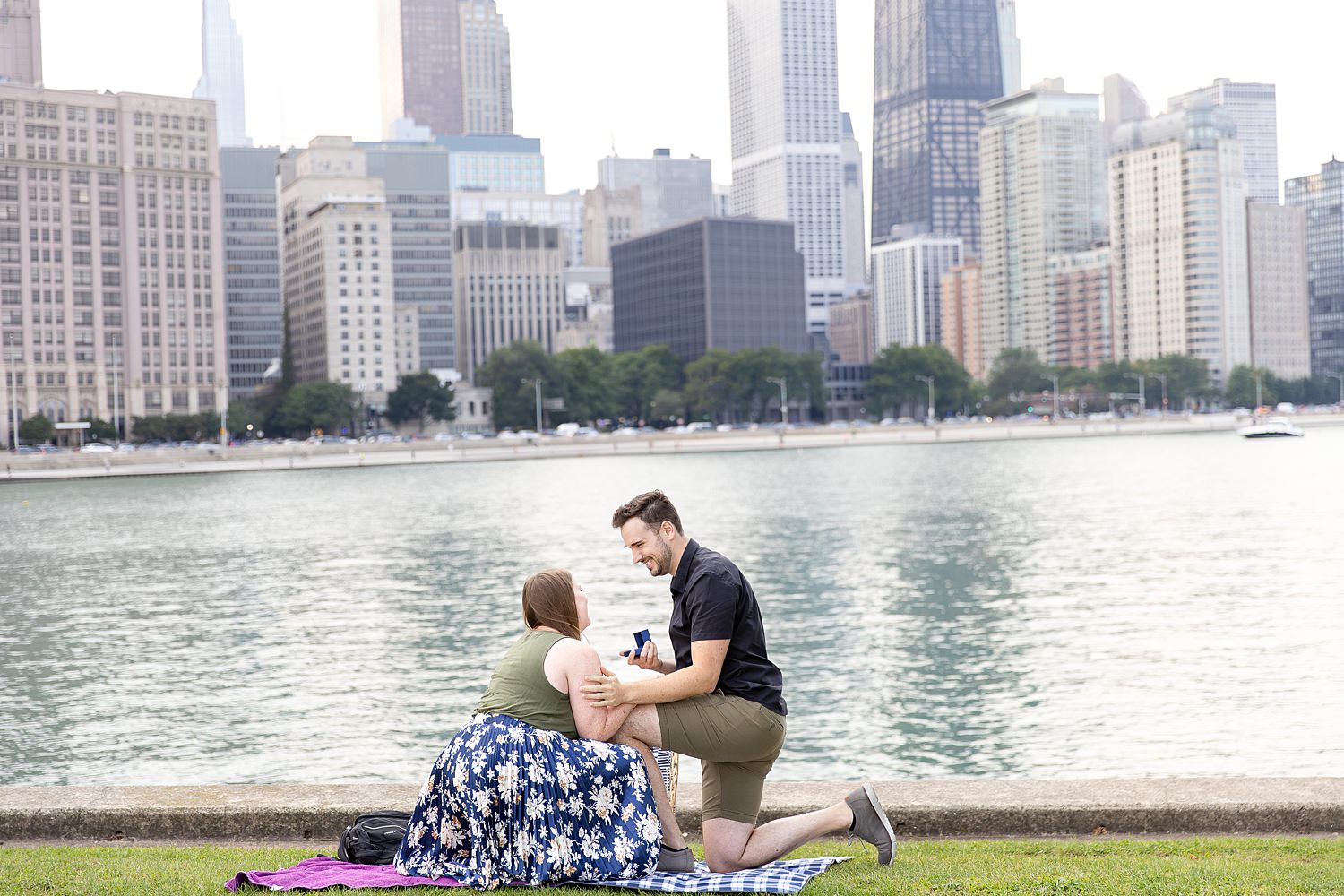 Picnic proposal at Milton Lee Olive Park in Chicago, IL.