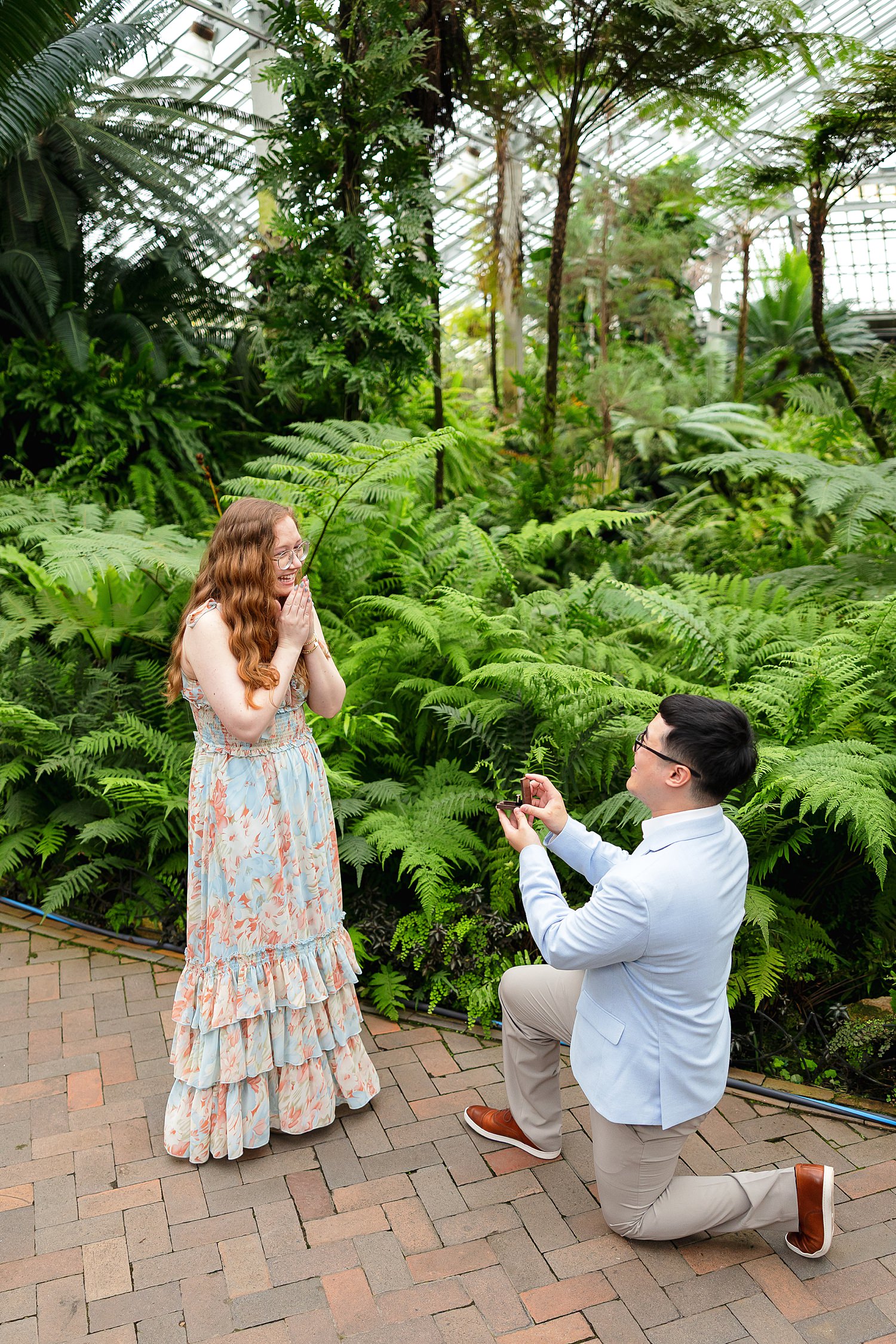 Man kneels down for his Garfield Park Conservatory proposal