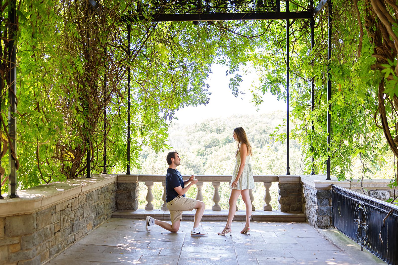 Cheekwood proposal at Wisteria Arbor.