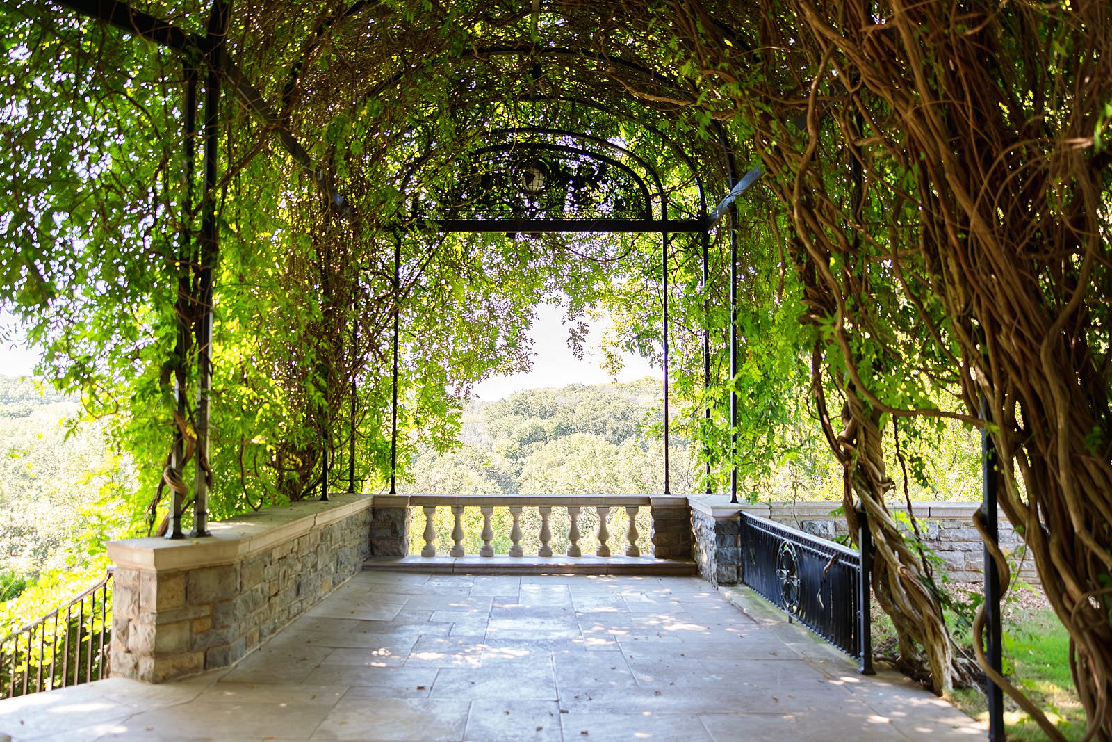 Wisteria Arbor in Nashville TN