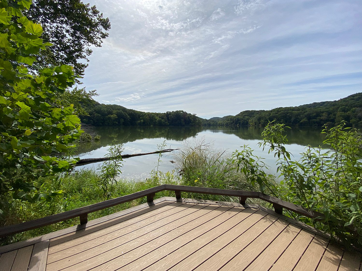 Radnor Lake State Park is a quiet Nashville proposal spot
